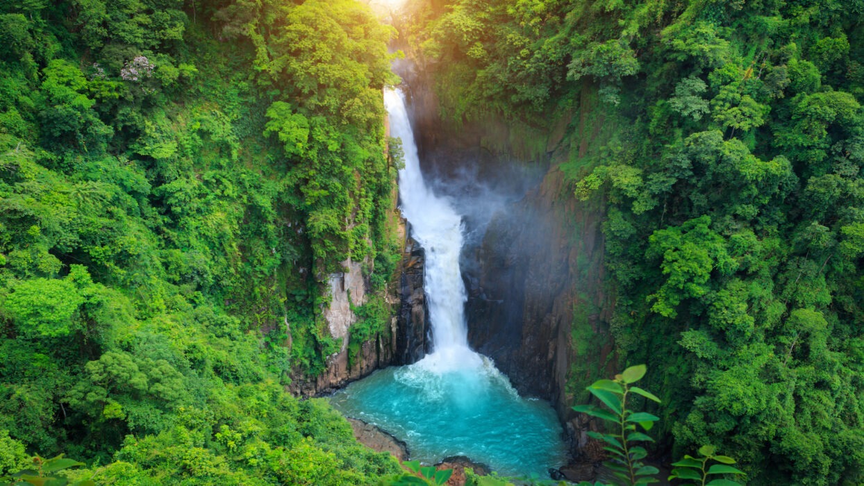 Khao Yai National Park: Thailand’s Wildlife & Natural Jewel