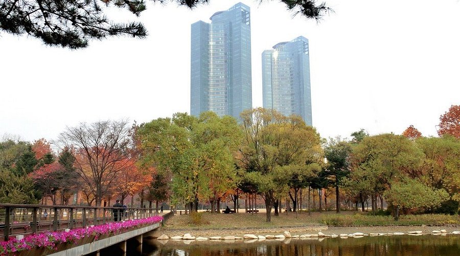 Seoul Forest Urban Oasis Exploring Nature Culture and Recreation
