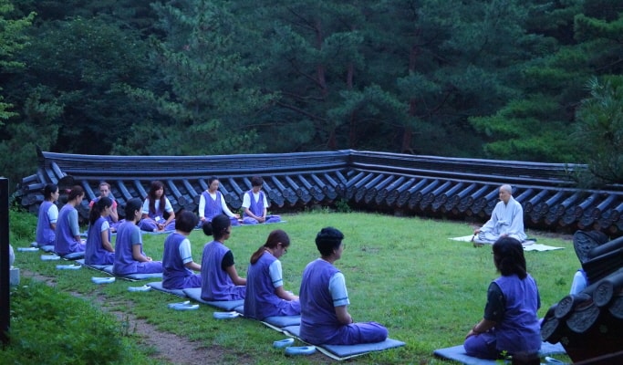 Temple Stay Programs: Experience Mindfulness, Meditation, and Peace