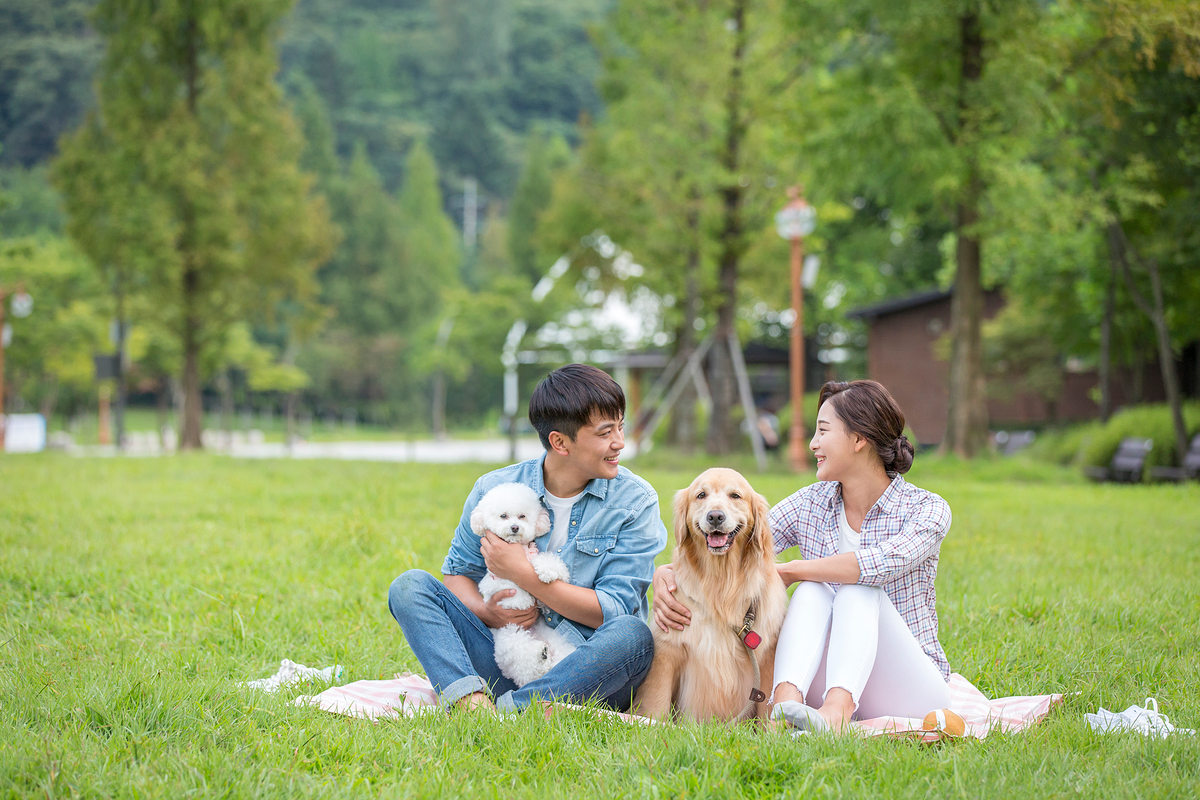 Embracing Korean Outdoor Picnics in Parks Tradition